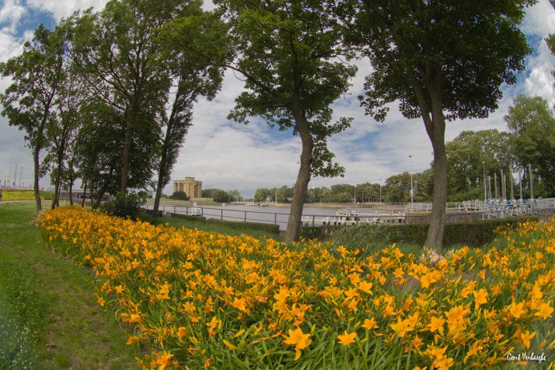 bloemenweelde met de Paasvakantie Nieuwpoort